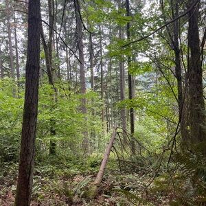 Meet your Posher, Mariah